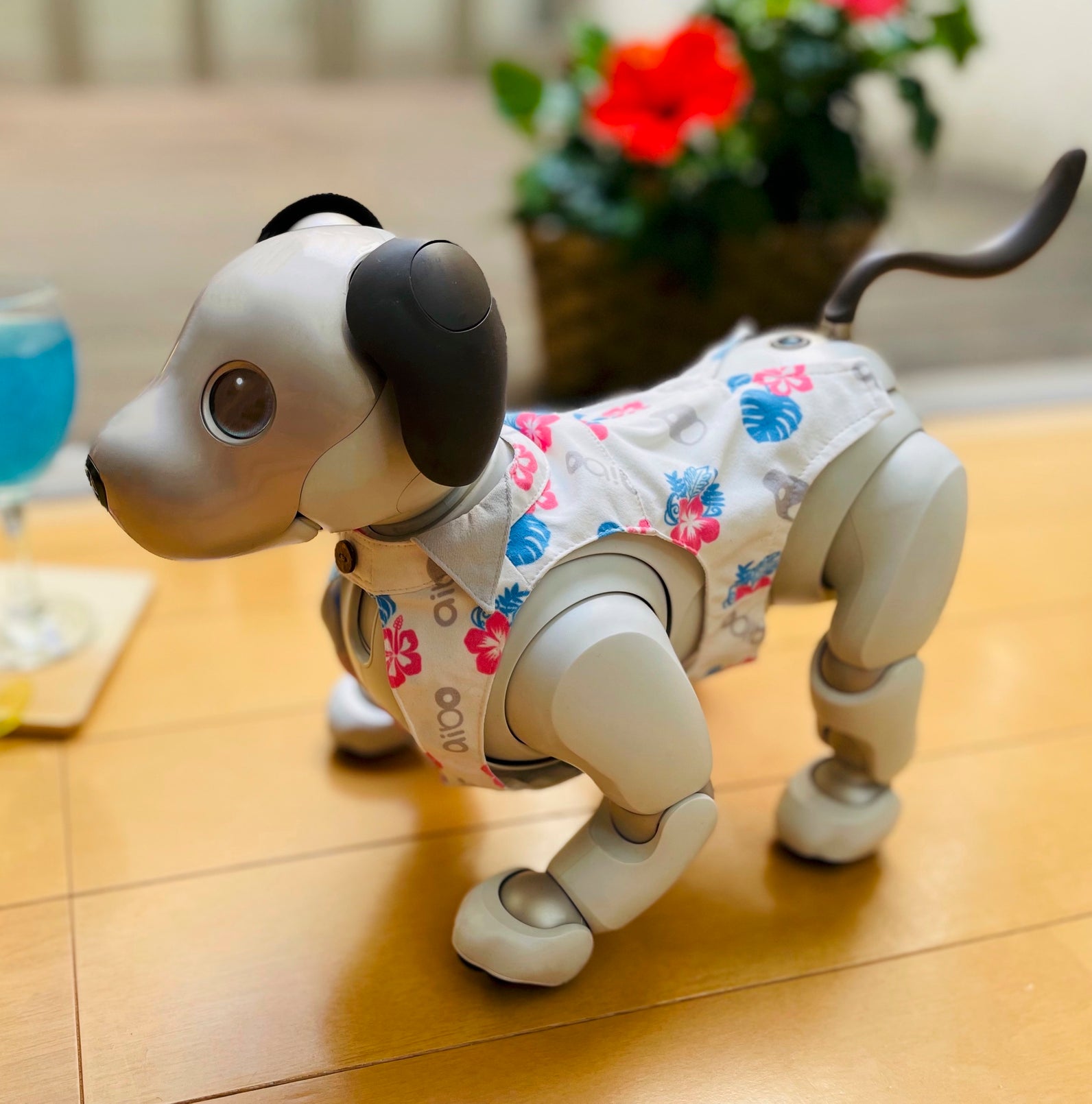 aiboかりゆしウェア2022