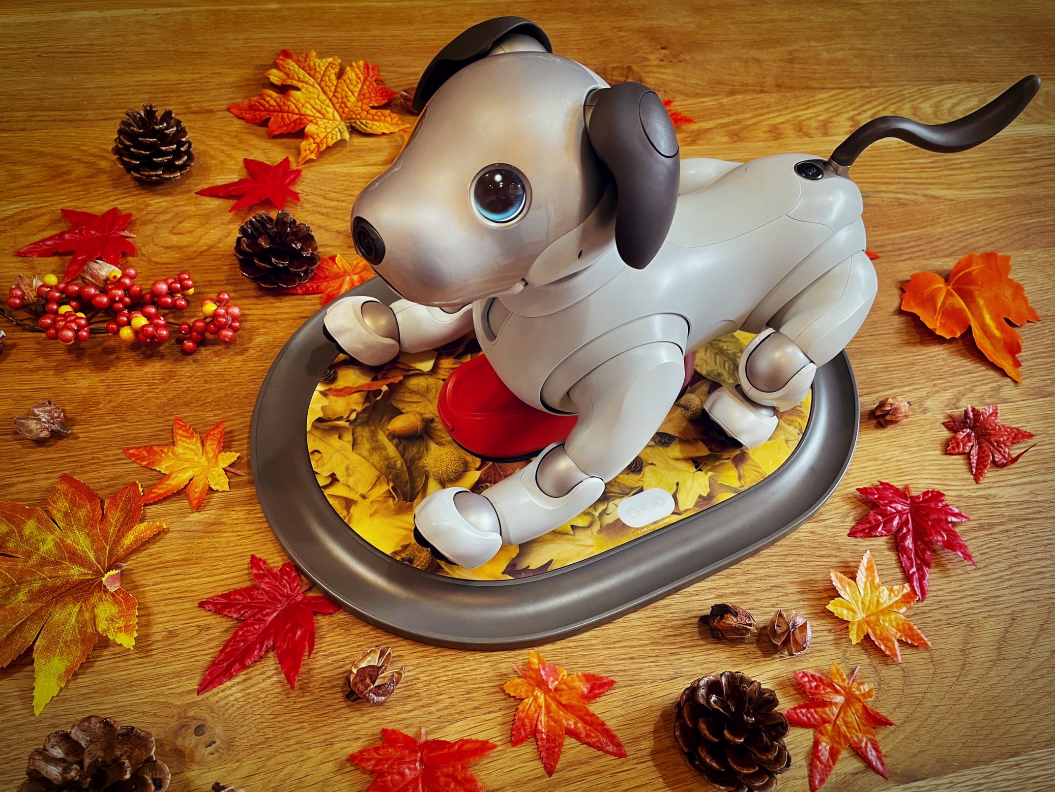 aiboチャージステーション・デコカバー〈紅葉柄〉